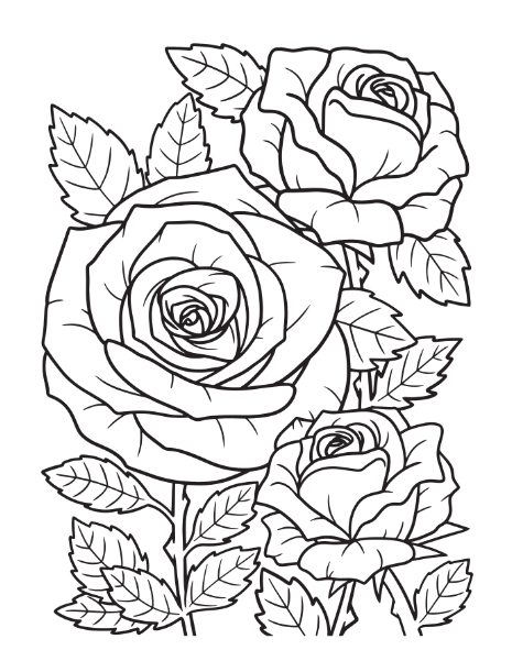 Happy Valentines Day Coloring Book